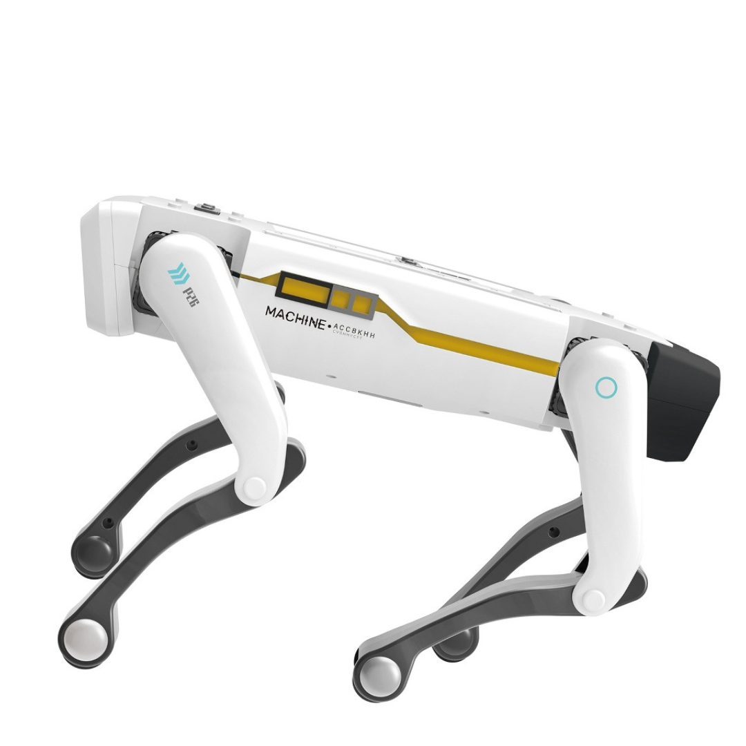 RoboPup