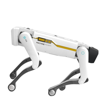 RoboPup