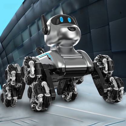 RoboRover