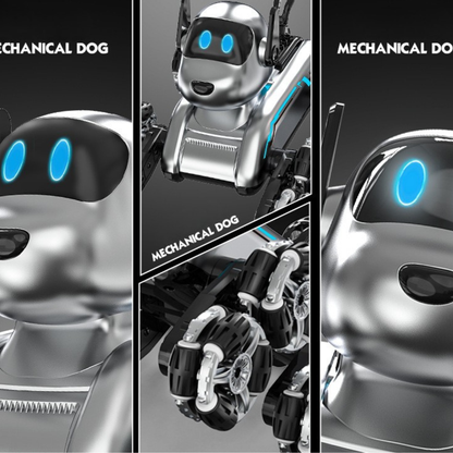 RoboRover